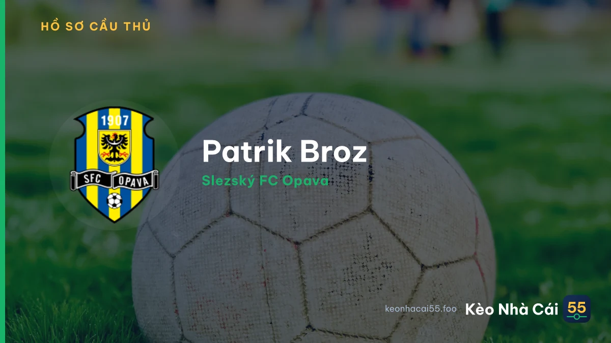 Patrik Broz — Slezský FC Opava