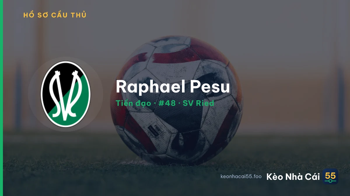 Raphael Pesu — SV Ried