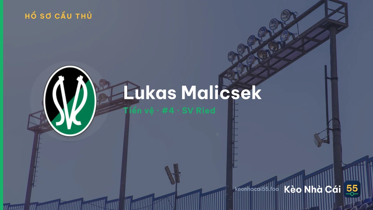 Lukas Malicsek — SV Ried