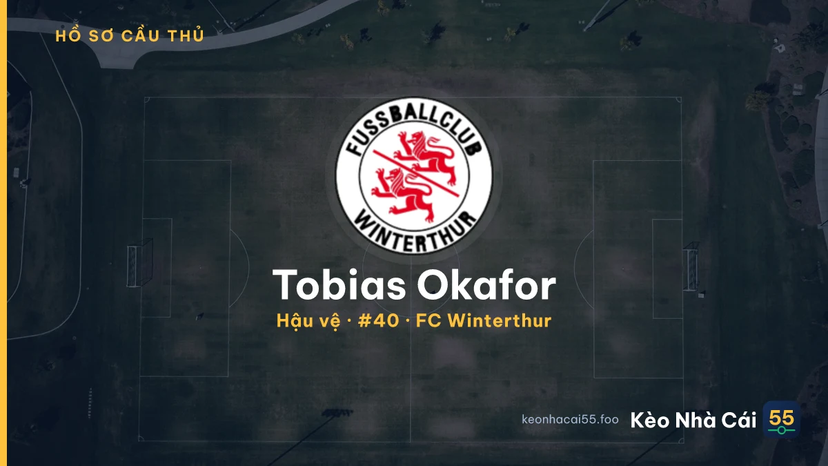 Tobias Okafor — FC Winterthur