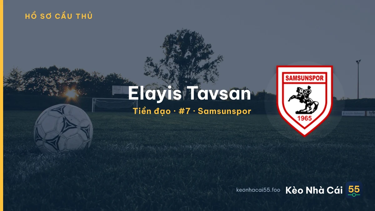 Elayis Tavsan — Samsunspor