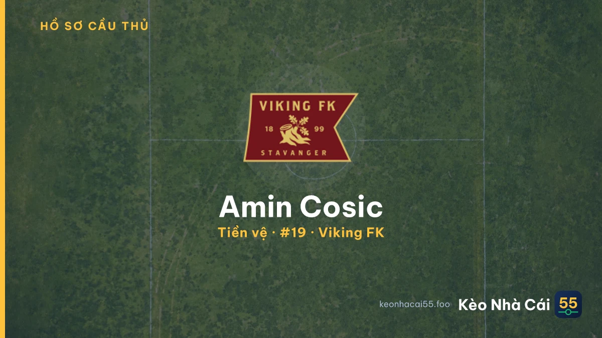 Amin Cosic — Viking FK