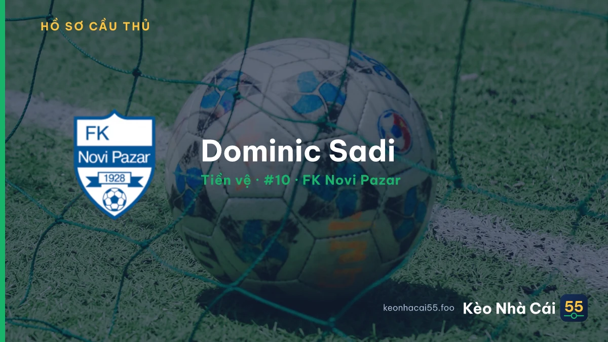 Dominic Sadi — FK Novi Pazar