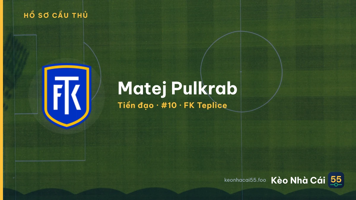 Matej Pulkrab — FK Teplice