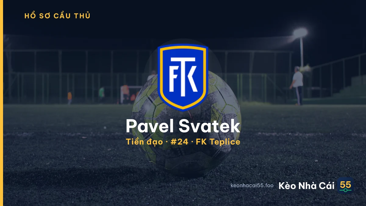 Pavel Svatek — FK Teplice
