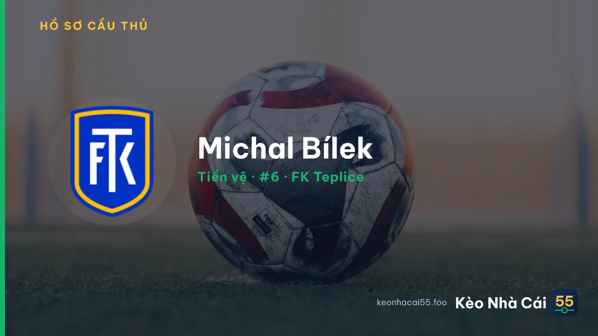 Michal Bílek — FK Teplice