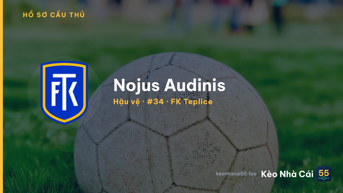 Nojus Audinis — FK Teplice