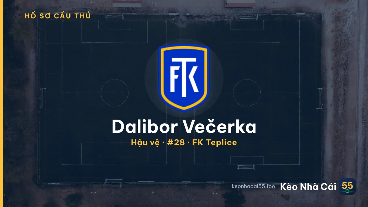 Dalibor Večerka — FK Teplice