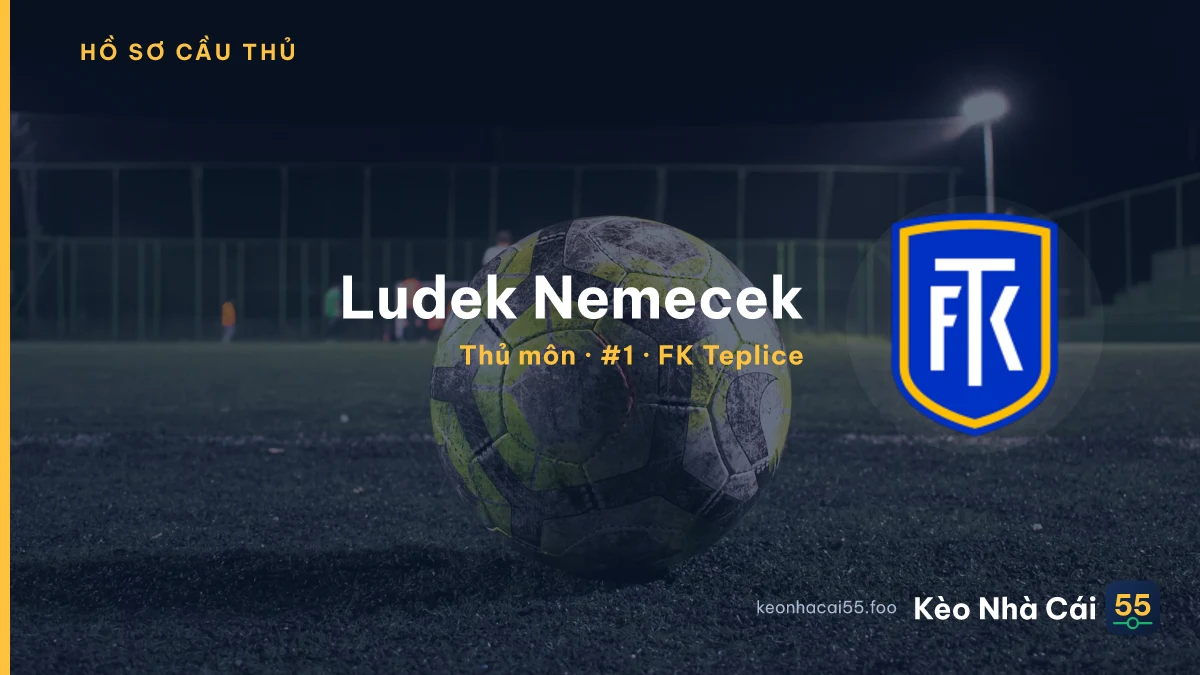 Ludek Nemecek — FK Teplice