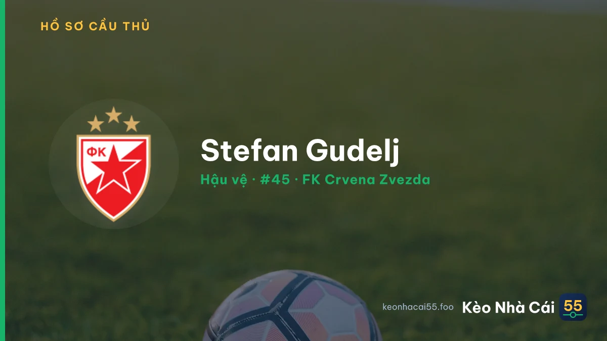 Stefan Gudelj — FK Crvena Zvezda