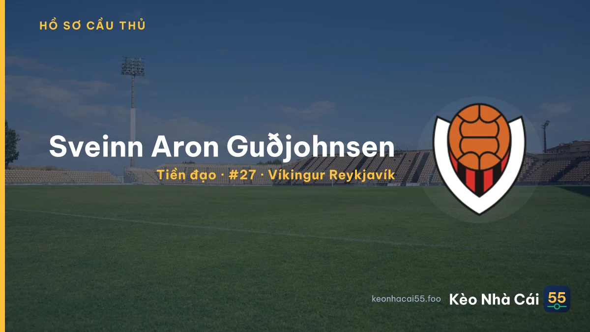 Sveinn Aron Guðjohnsen — Víkingur Reykjavík