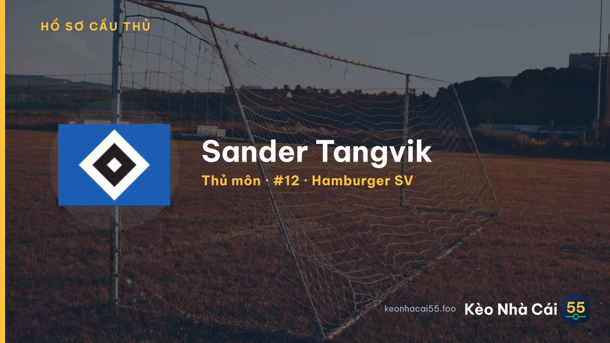 Sander Tangvik — Hamburger SV