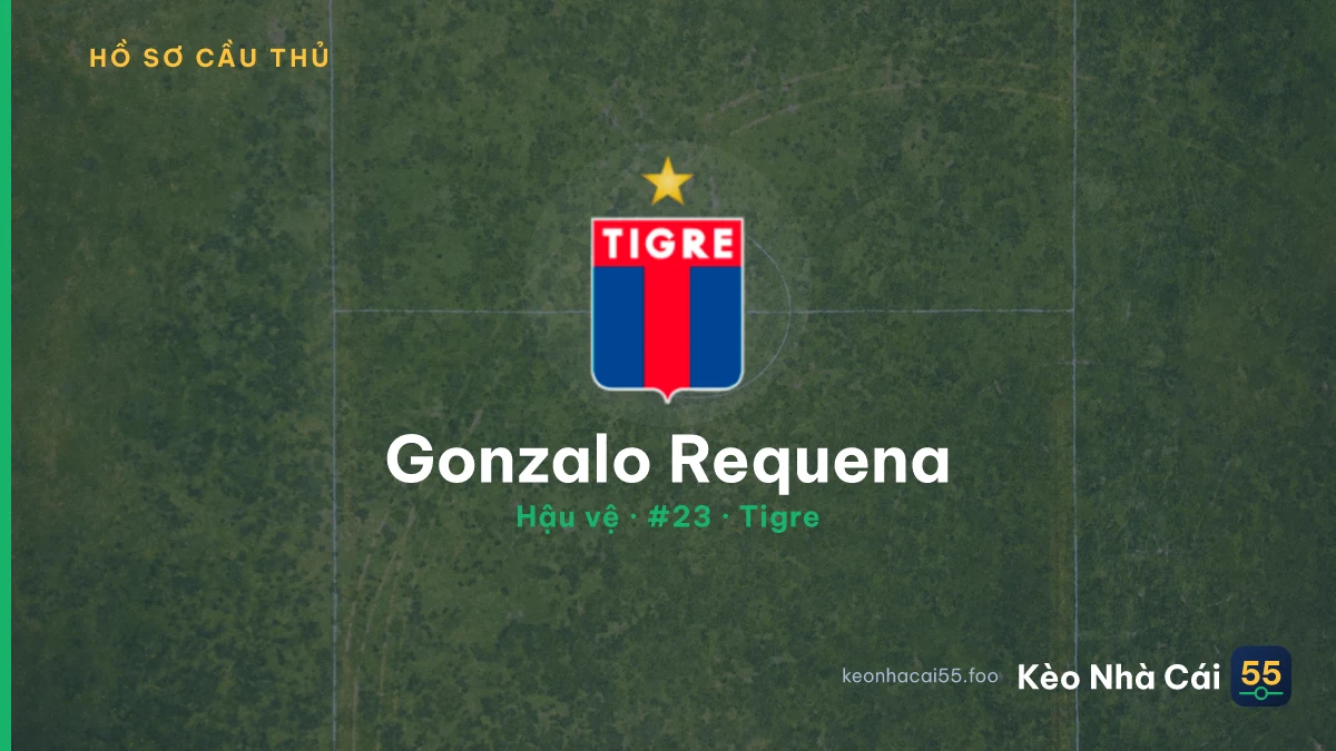 Gonzalo Requena — Tigre
