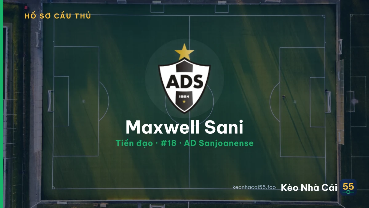 Maxwell Sani — AD Sanjoanense