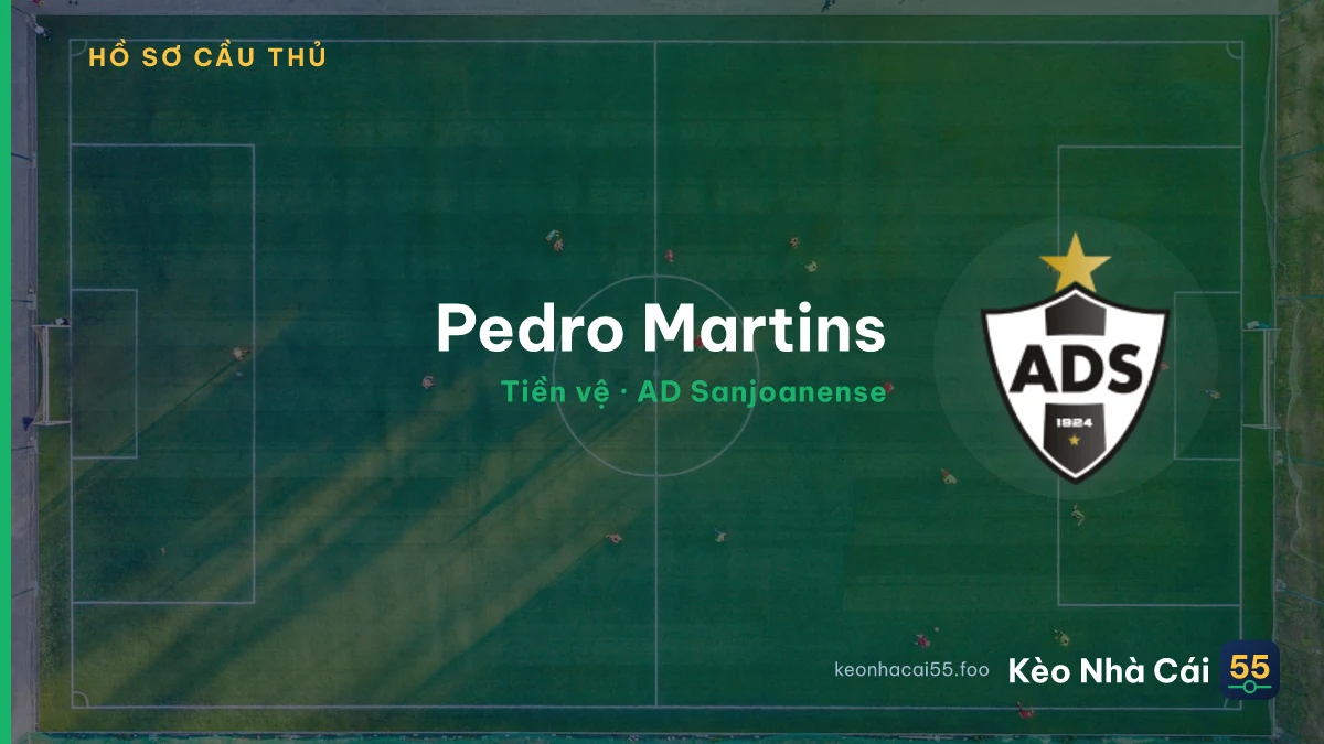 Pedro Martins — AD Sanjoanense