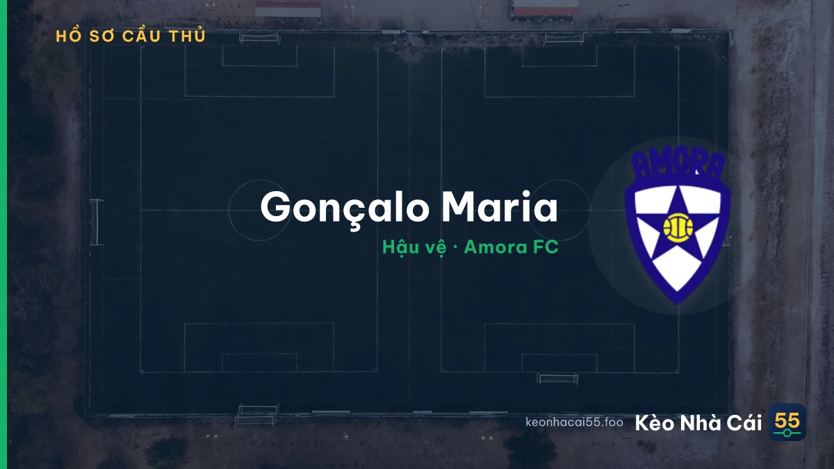 Gonçalo Maria — Amora FC