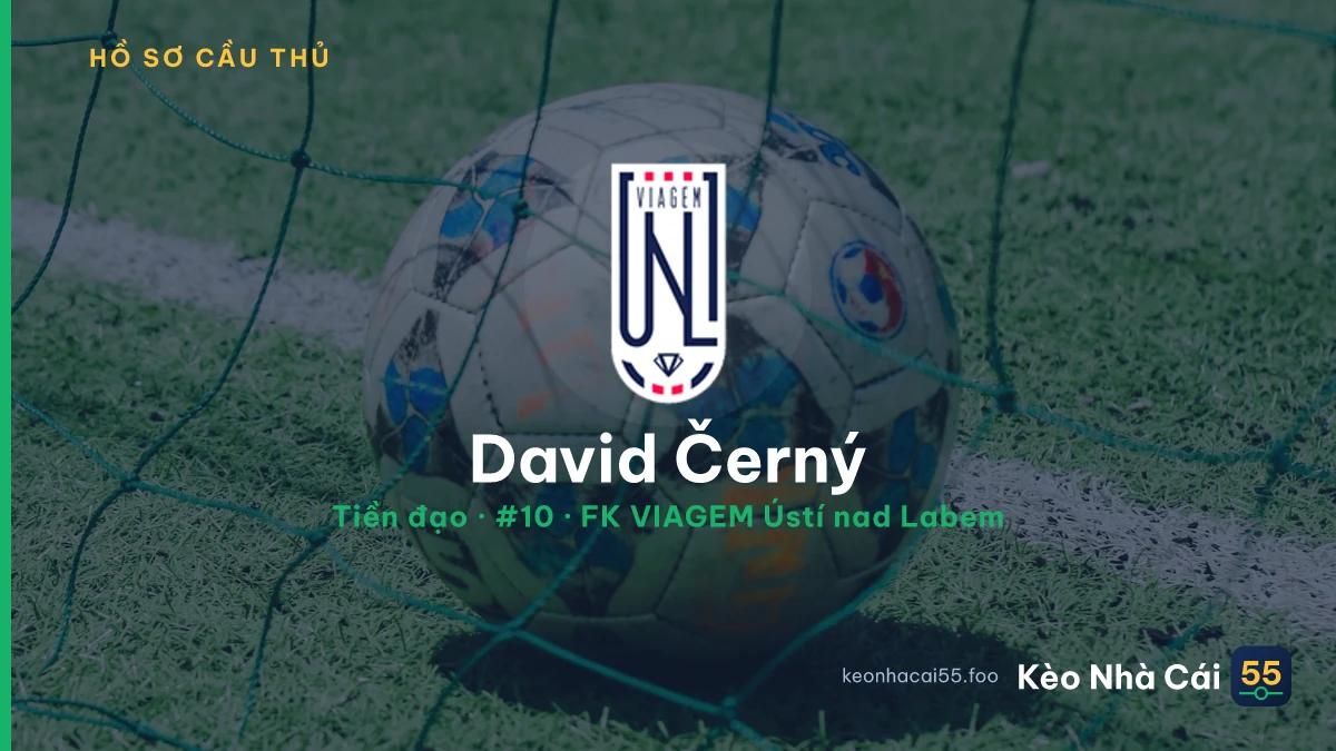 David Černý — FK VIAGEM Ústí nad Labem