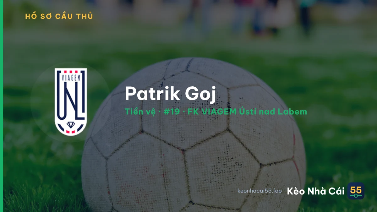 Patrik Goj — FK VIAGEM Ústí nad Labem