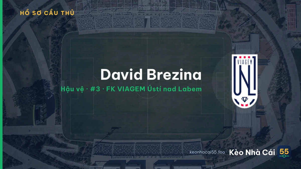David Brezina — FK VIAGEM Ústí nad Labem