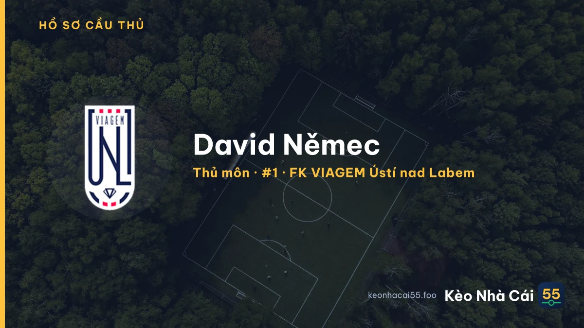 David Němec — FK VIAGEM Ústí nad Labem