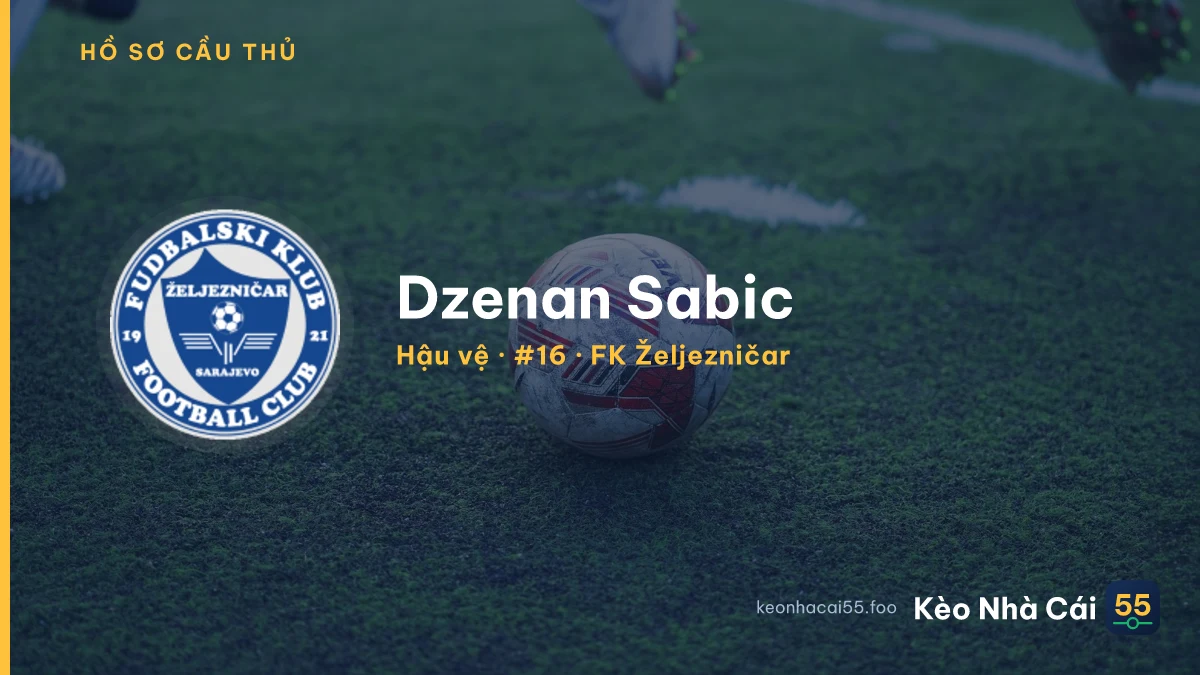 Dzenan Sabic — FK Željezničar