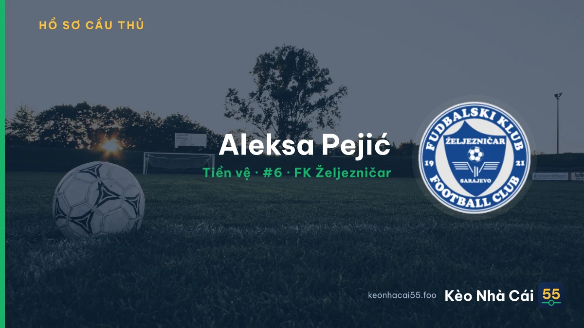 Aleksa Pejić — FK Željezničar