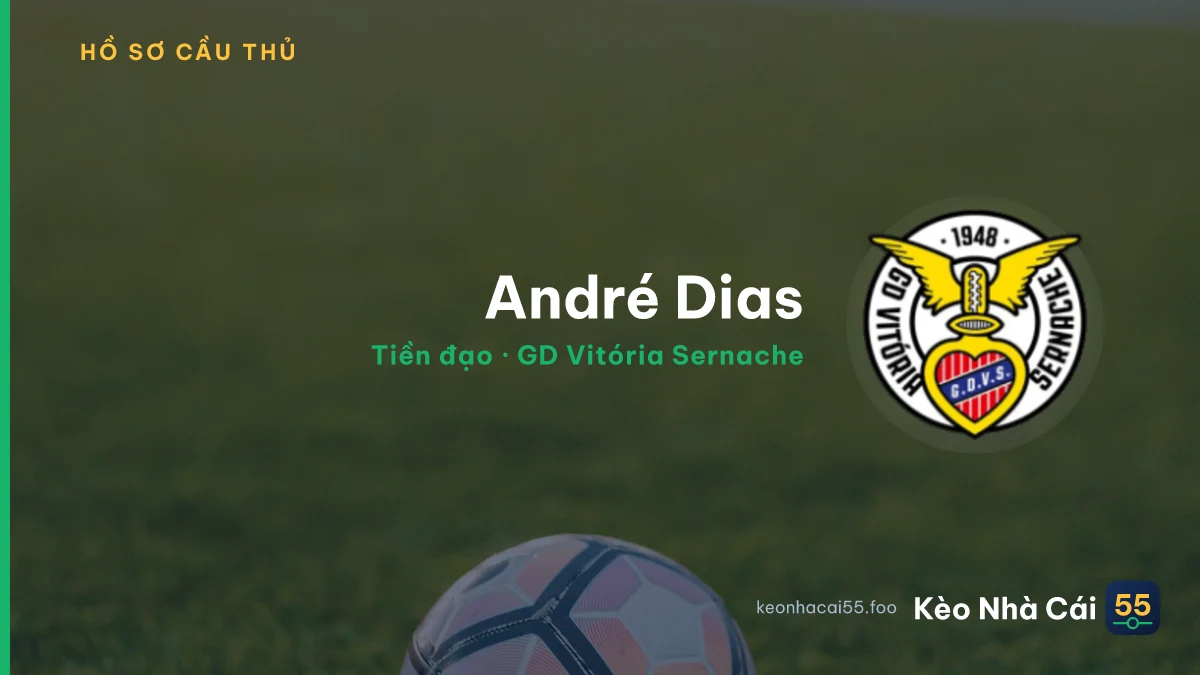 André Dias — GD Vitória Sernache