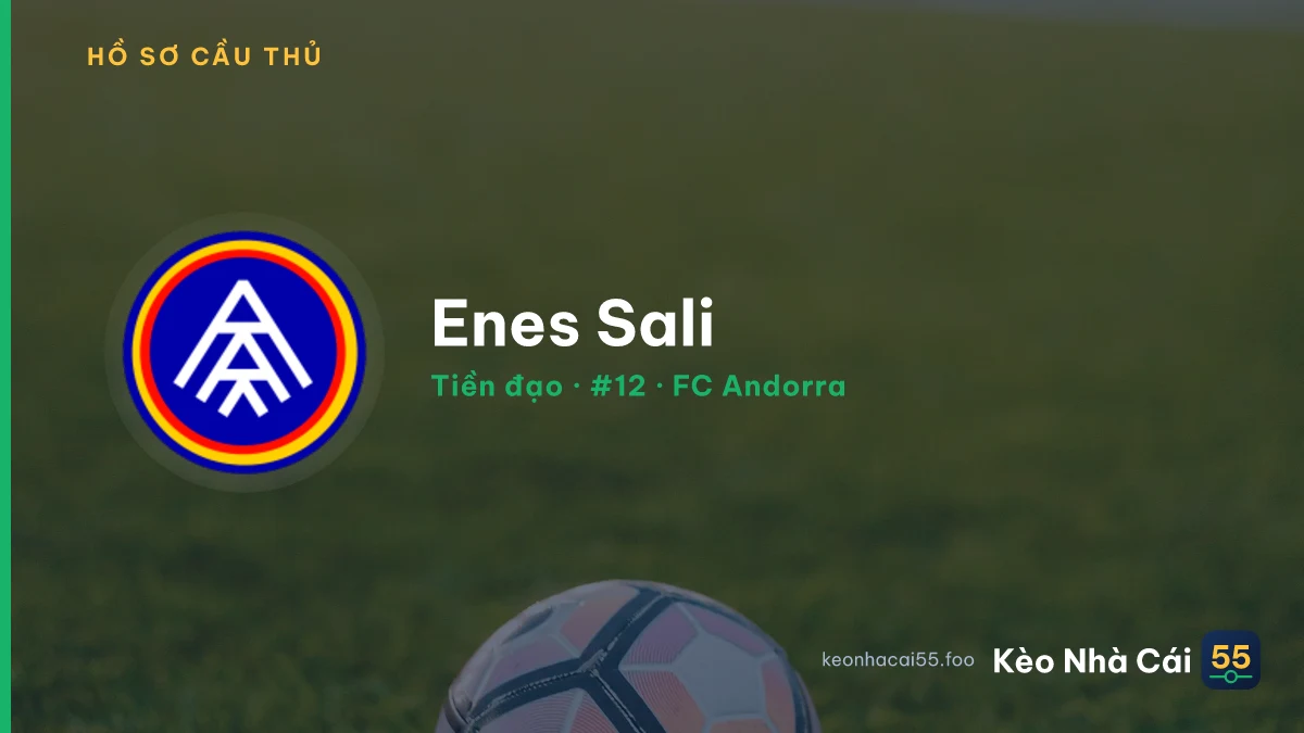 Enes Sali — FC Andorra
