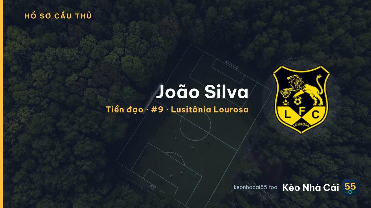João Silva — Lusitânia Lourosa