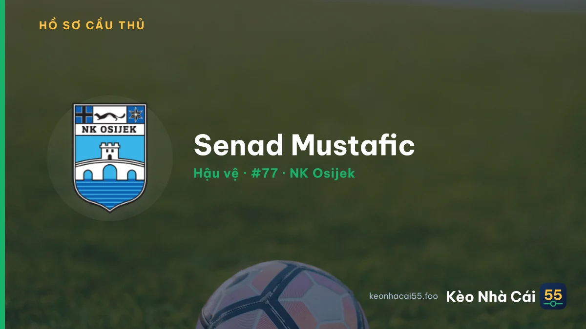 Senad Mustafic — NK Osijek