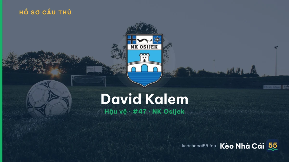 David Kalem — NK Osijek
