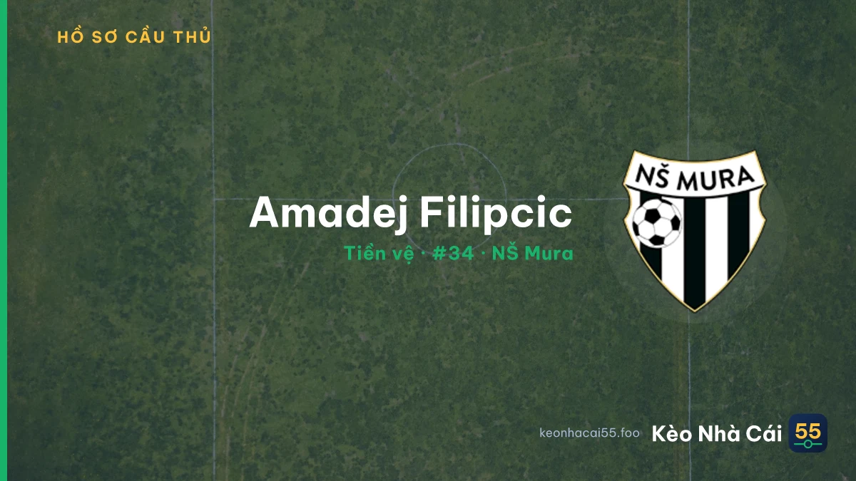 Amadej Filipcic — NŠ Mura