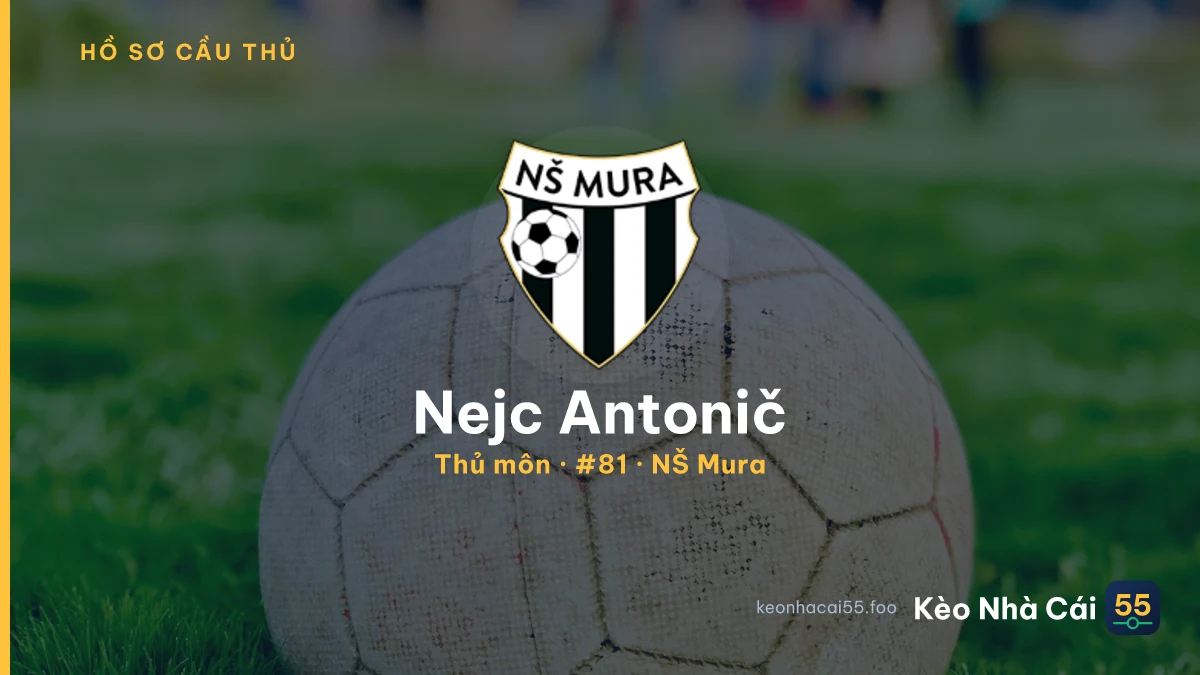 Nejc Antonič — NŠ Mura
