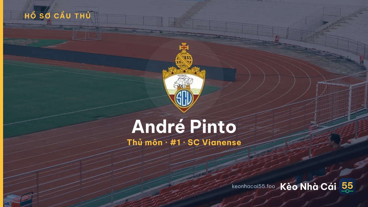 André Pinto — SC Vianense