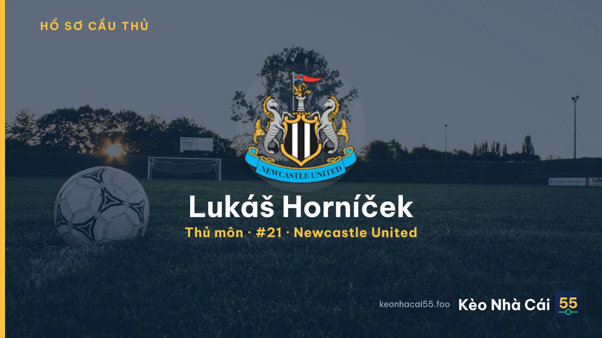 Lukáš Horníček — Newcastle United