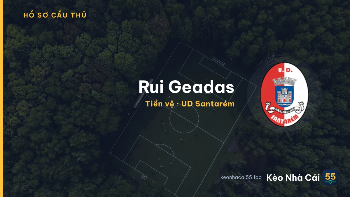 Rui Geadas — UD Santarém