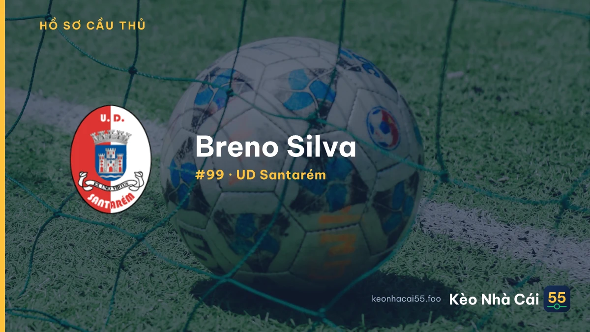 Breno Silva — UD Santarém