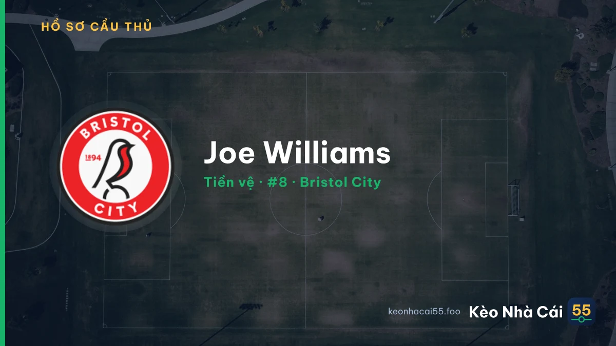 Joe Williams — Bristol City