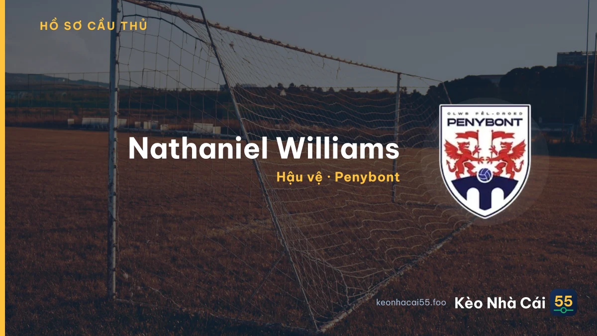 Nathaniel Williams — Penybont