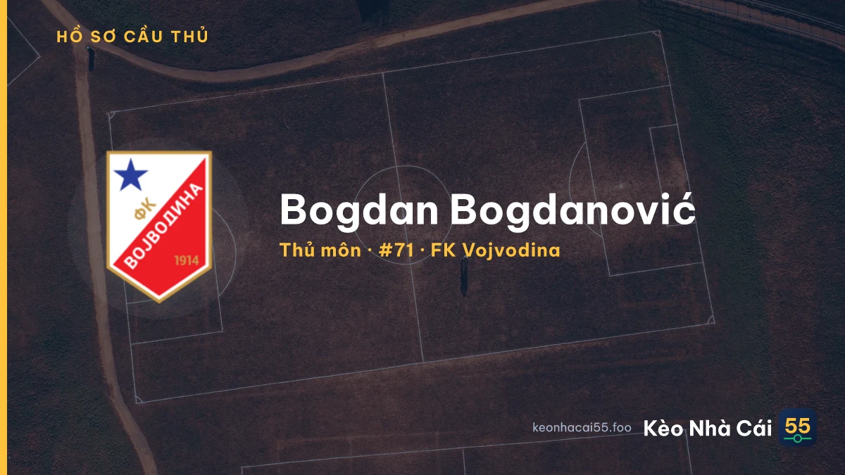 Bogdan Bogdanović — FK Vojvodina