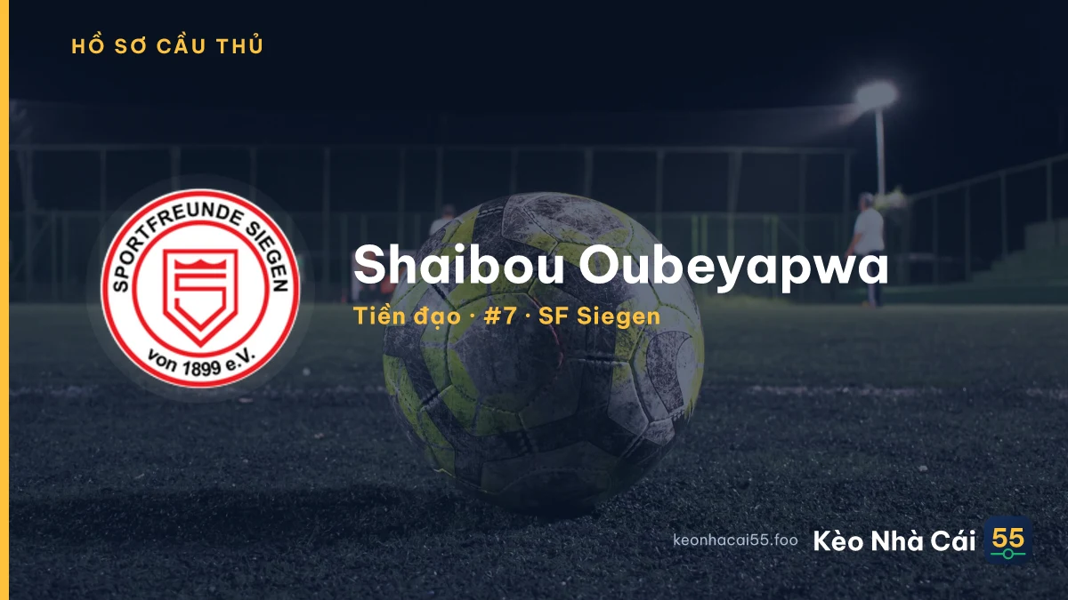 Shaibou Oubeyapwa — SF Siegen