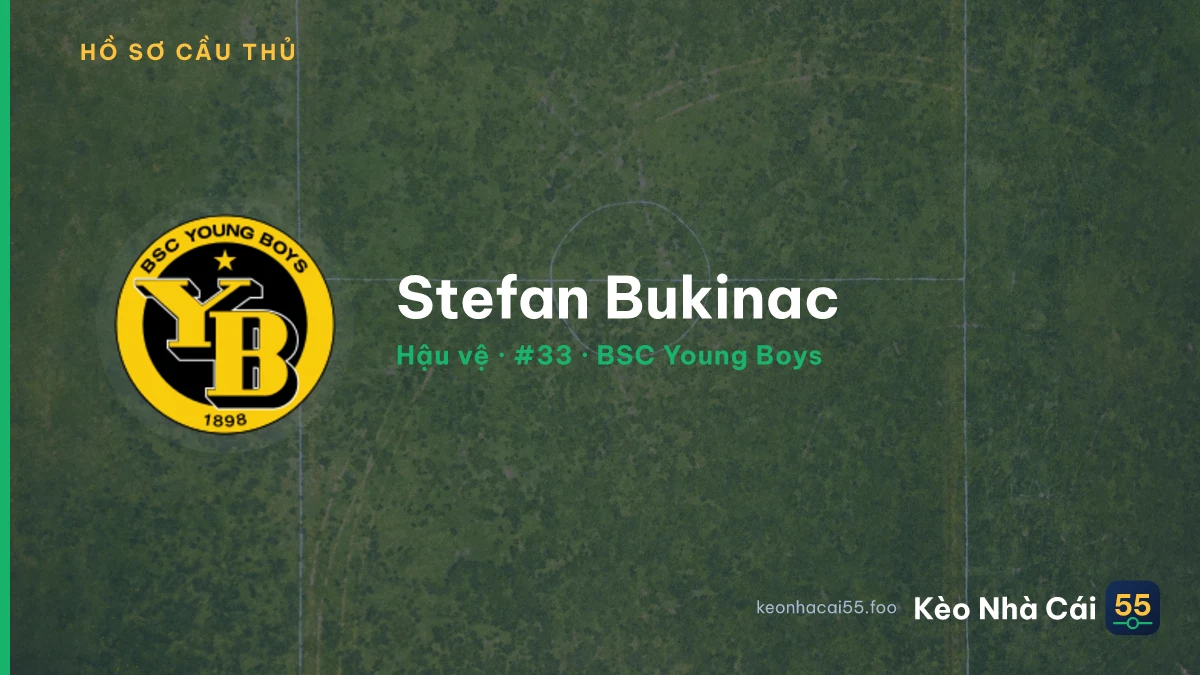 Stefan Bukinac — BSC Young Boys