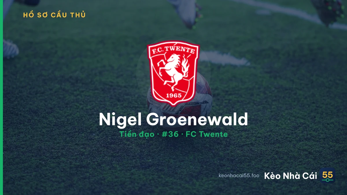 Nigel Groenewald — FC Twente