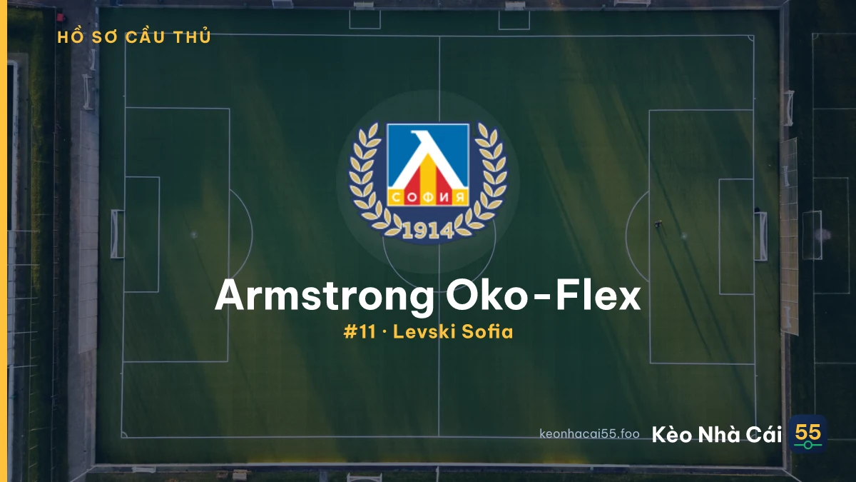 Armstrong Oko-Flex — Levski Sofia