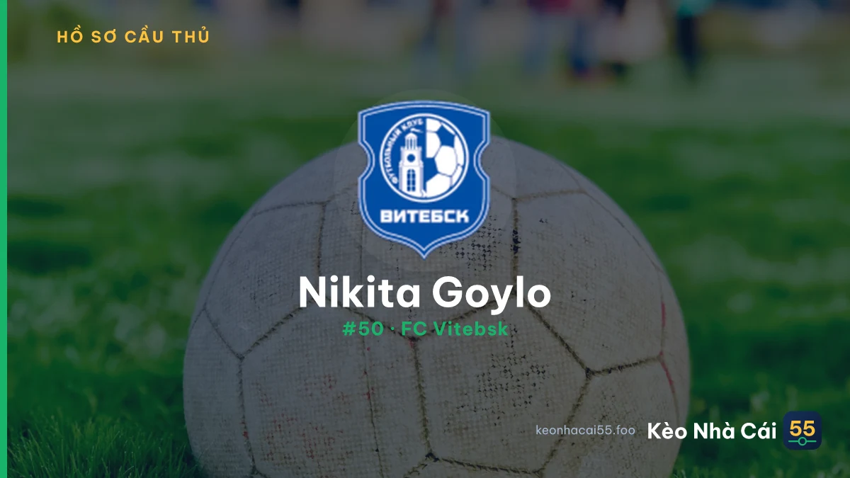 Nikita Goylo — FC Vitebsk