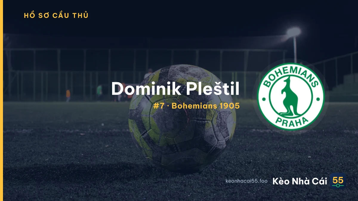 Dominik Pleštil