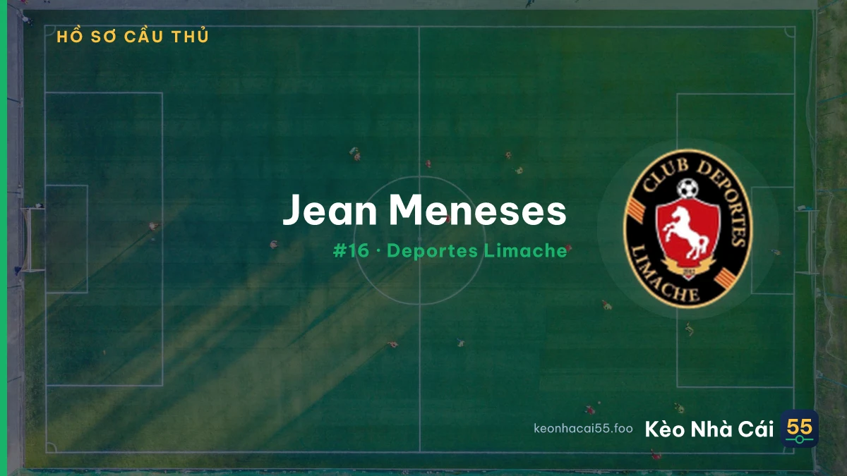 J. Meneses