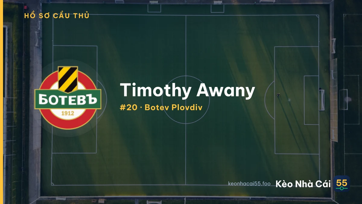 Timothy Awany