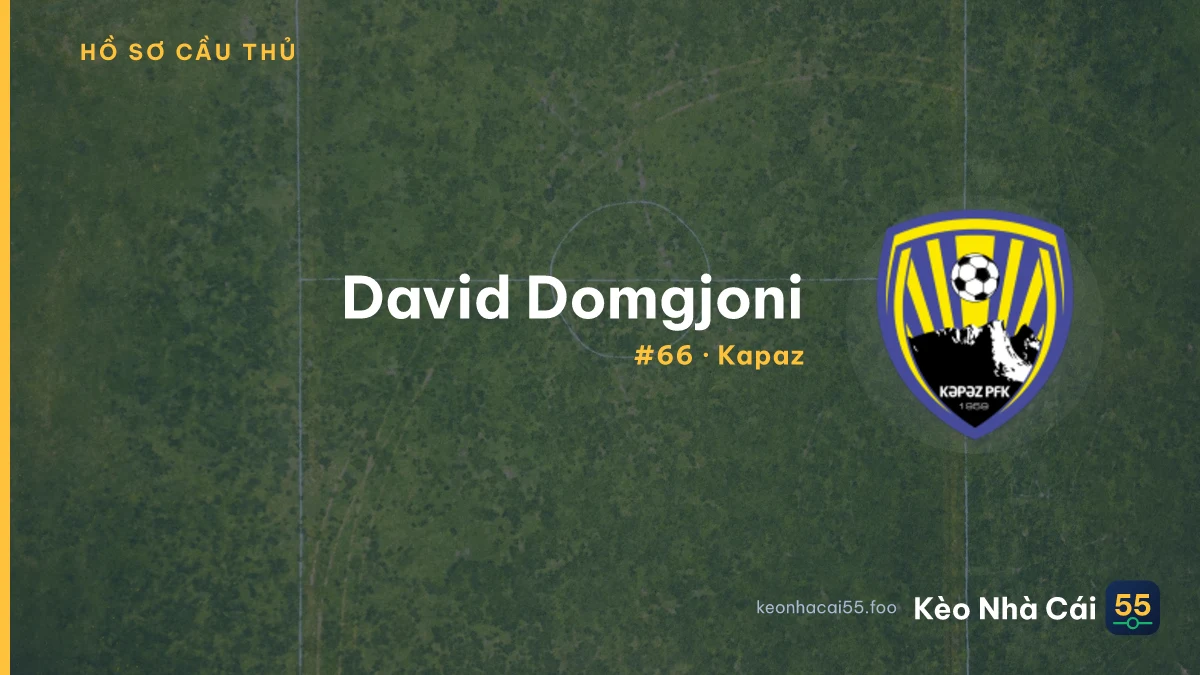 D. Domgjoni
