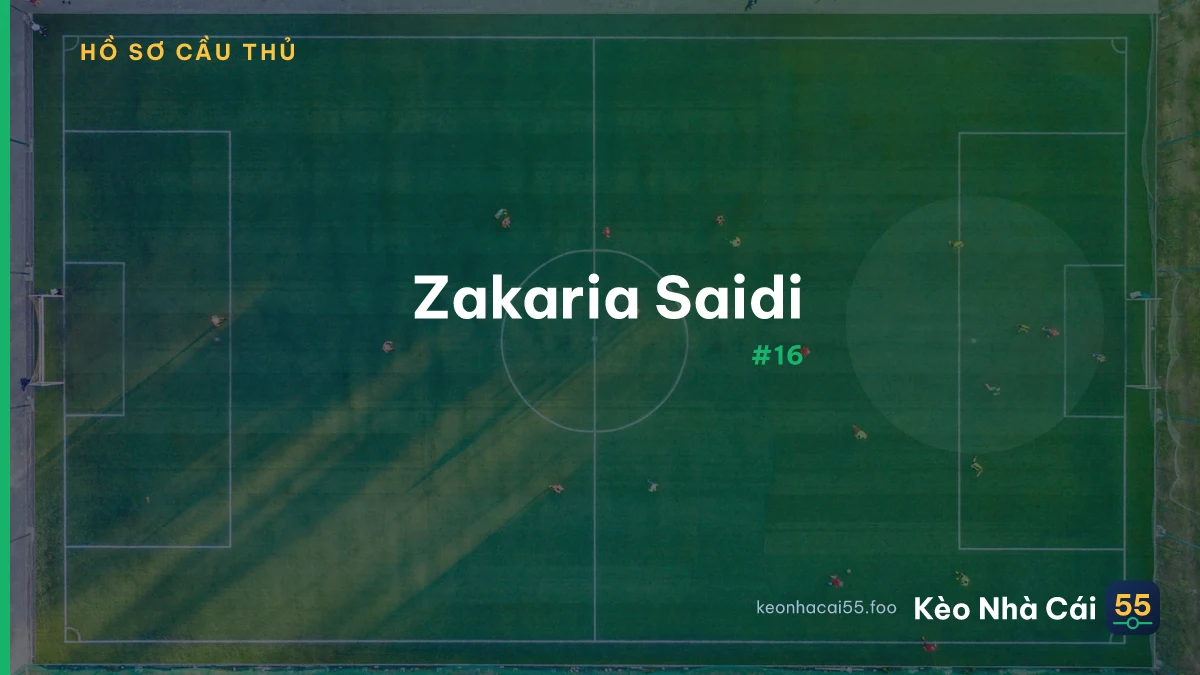 Z. Saidi
